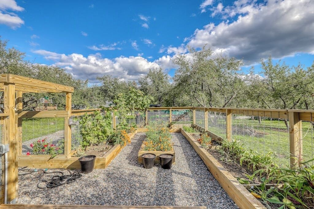 Photo of Outdoor in Bethlehem