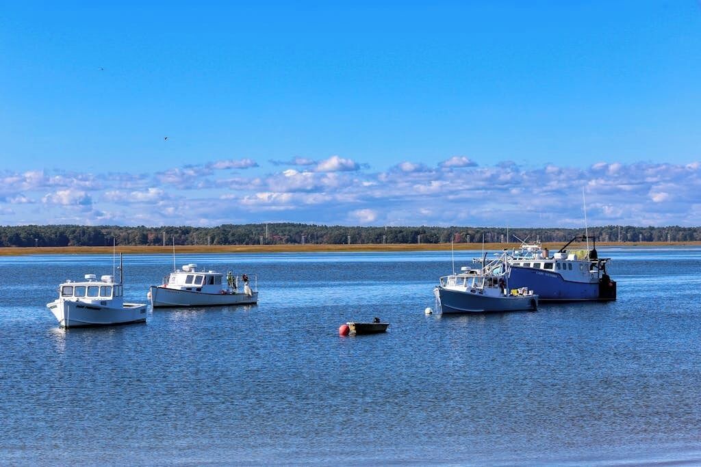 Photo of Others in Seabrook