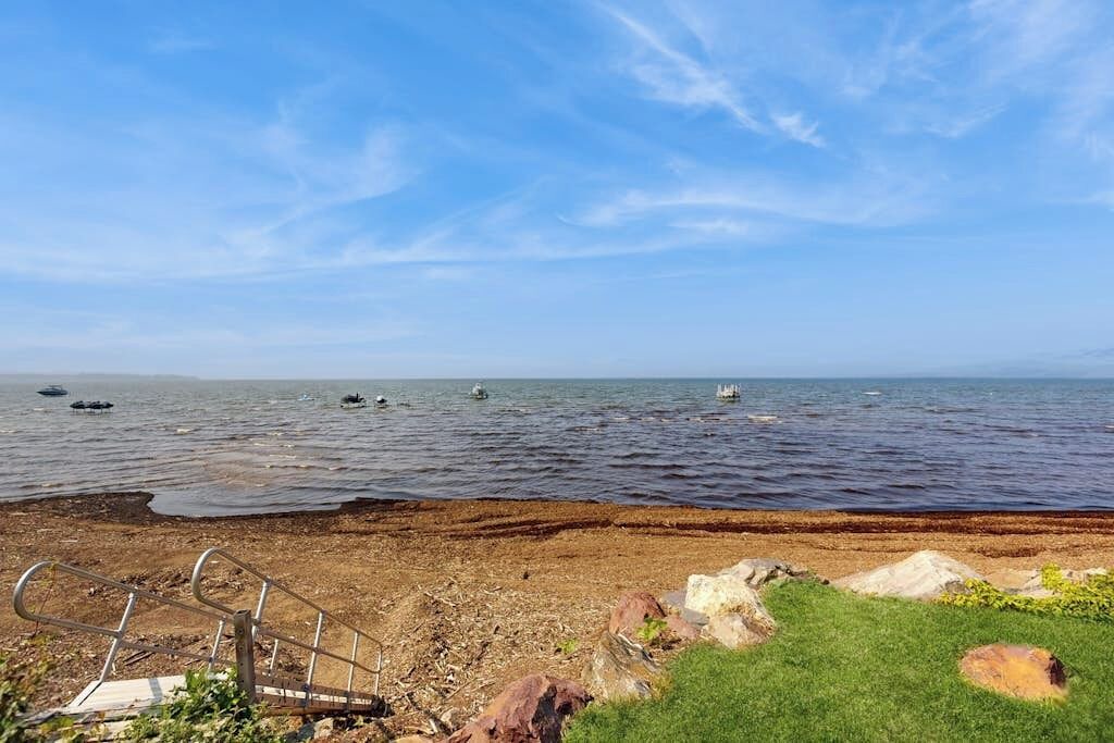 Photo of Others in Malletts Bay