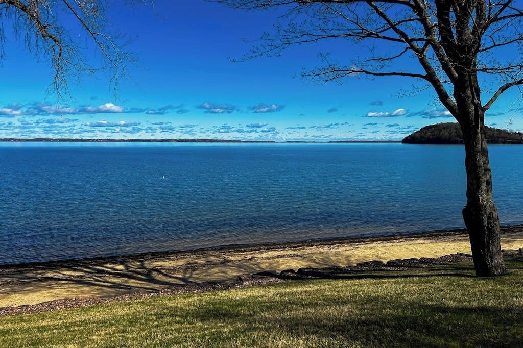 Photo of Others in Malletts Bay
