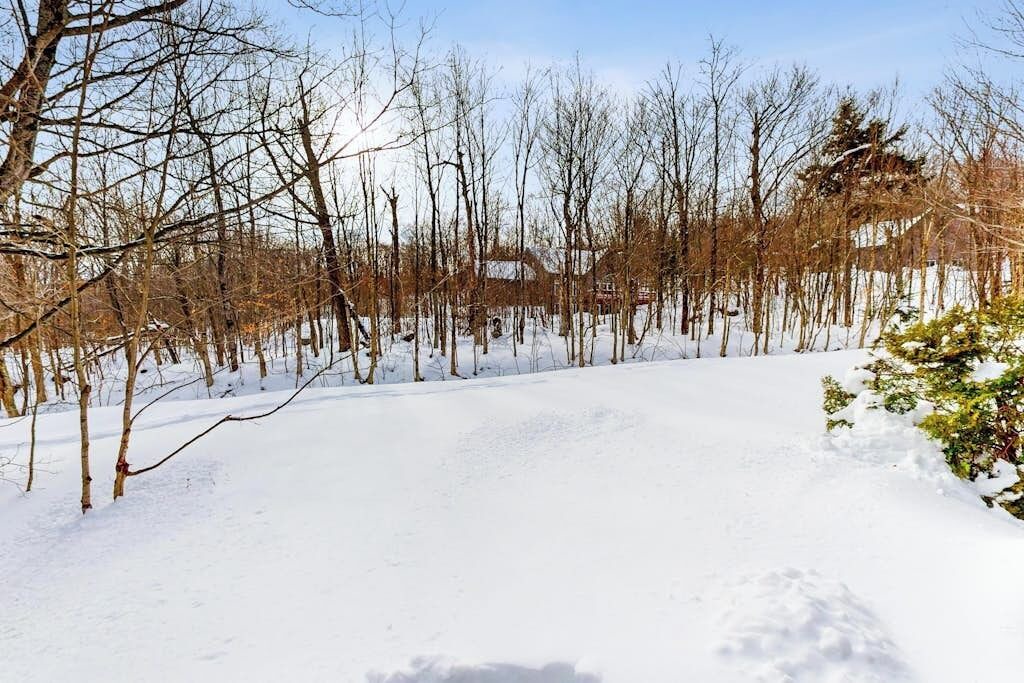 Photo of Others in North Troy