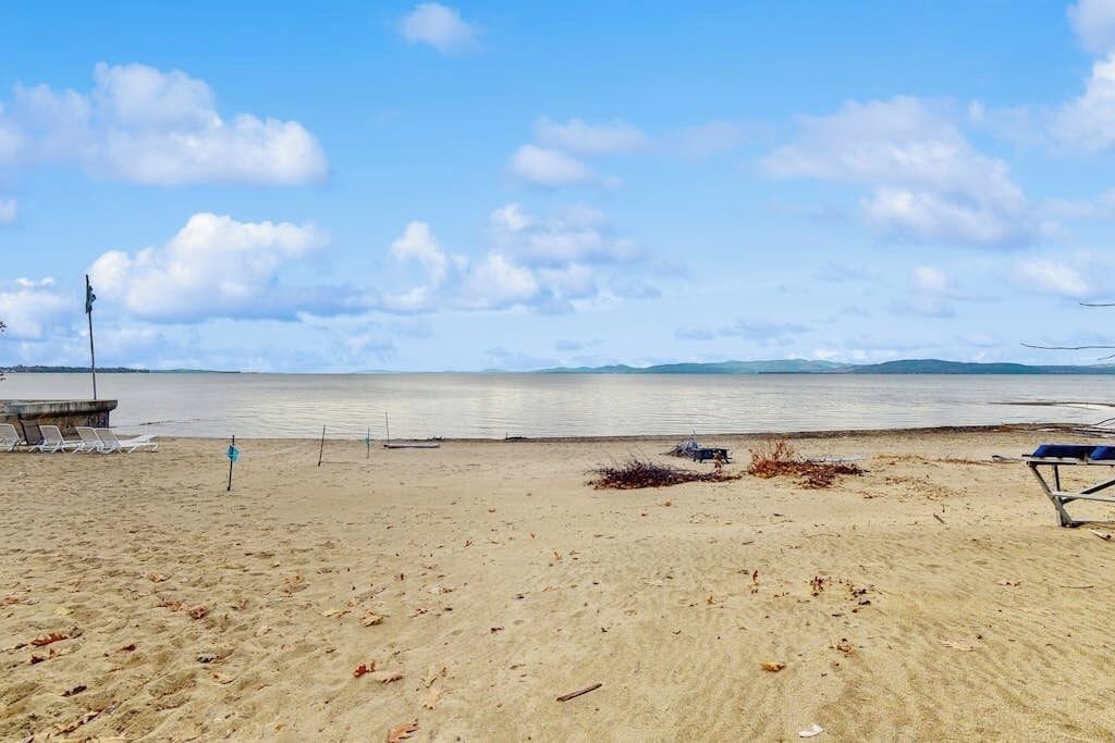 Photo of Others in Malletts Bay