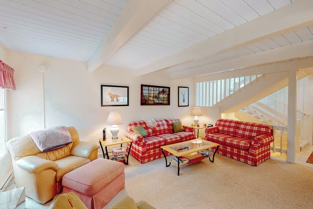 Photo of Livingroom in Bromley Mountain