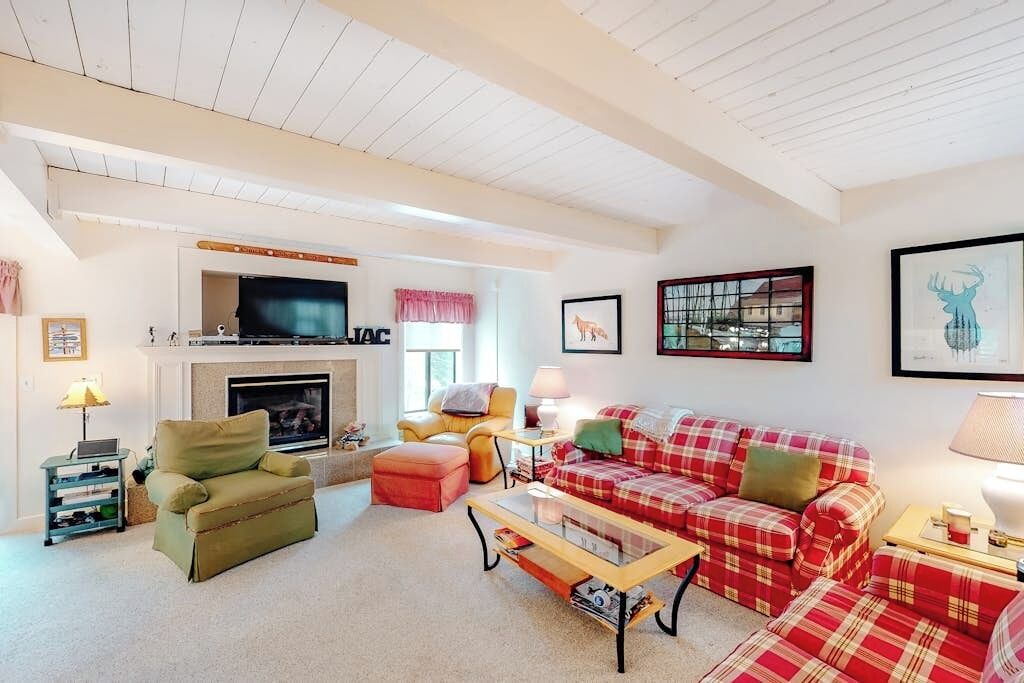 Photo of Livingroom in Bromley Mountain