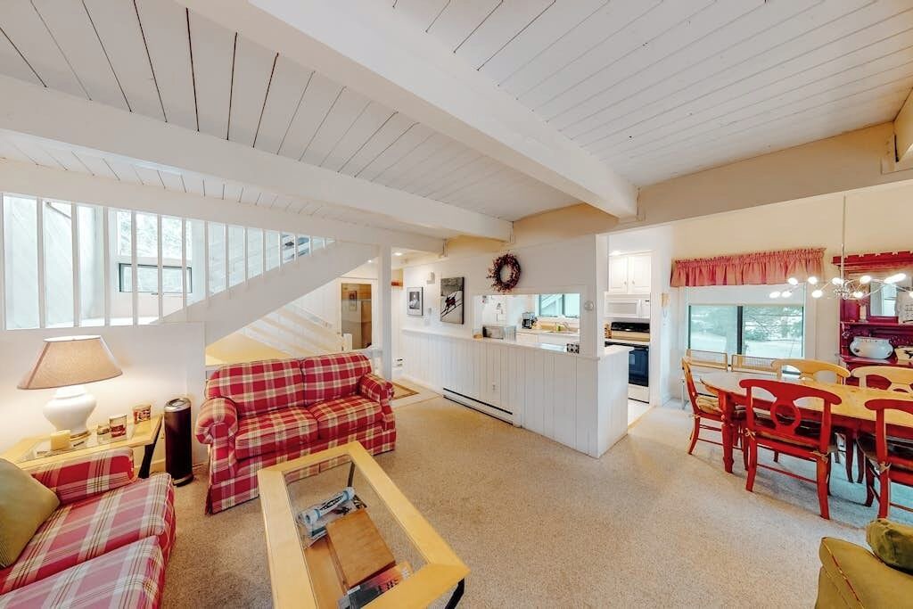 Photo of Livingroom in Bromley Mountain