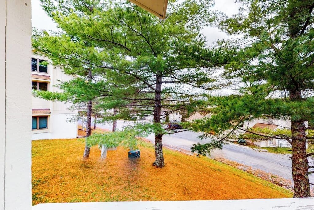 Photo of Outdoor in Bromley Mountain