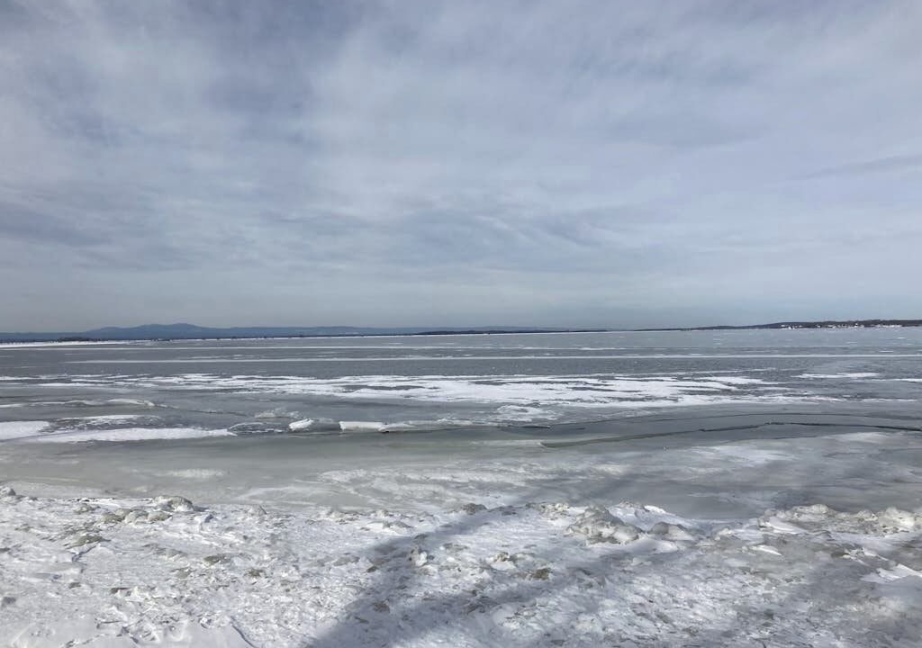 Photo of Others in Malletts Bay