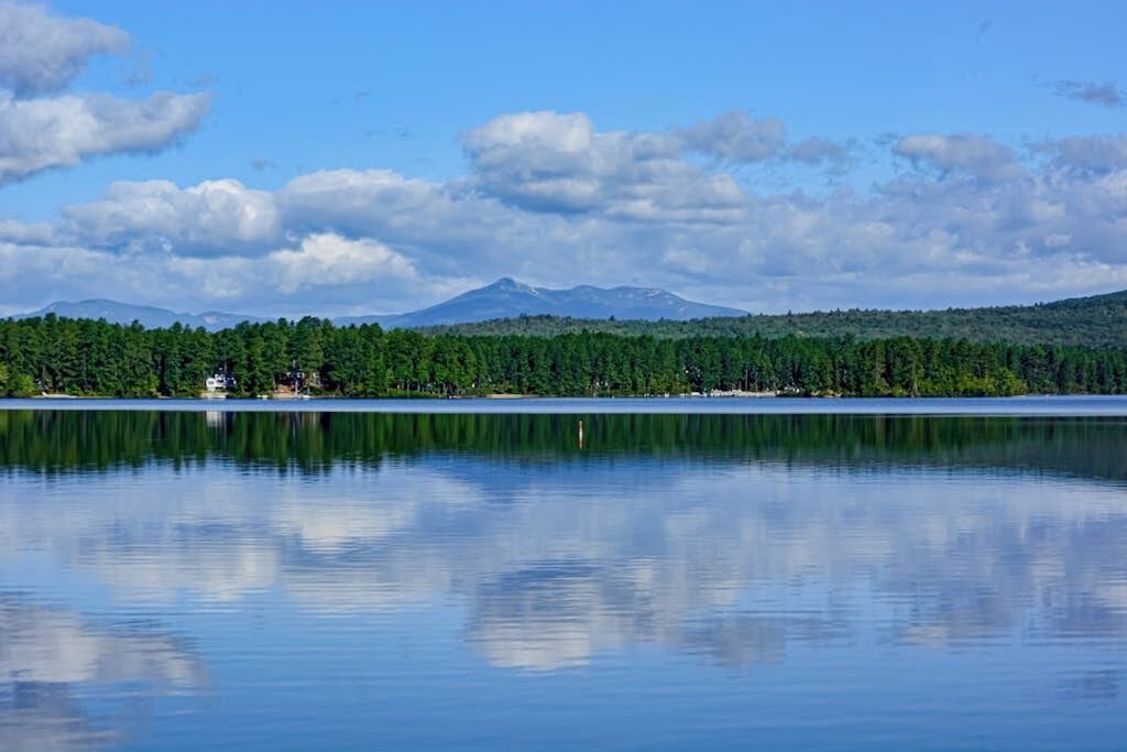 Photo of Others in The Bays
