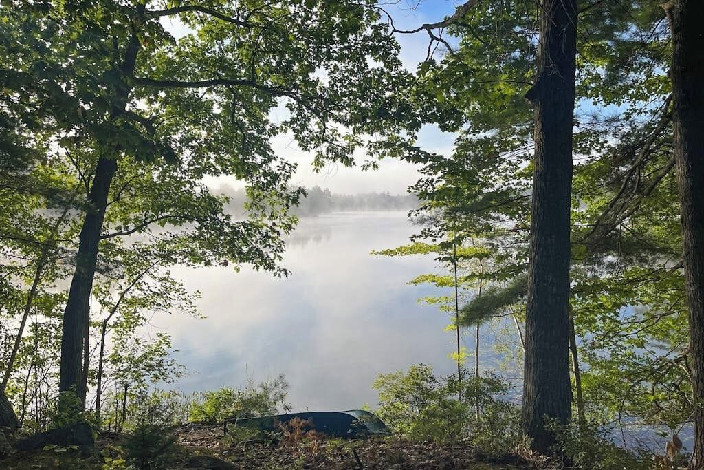 Photo of Others in Ossipee