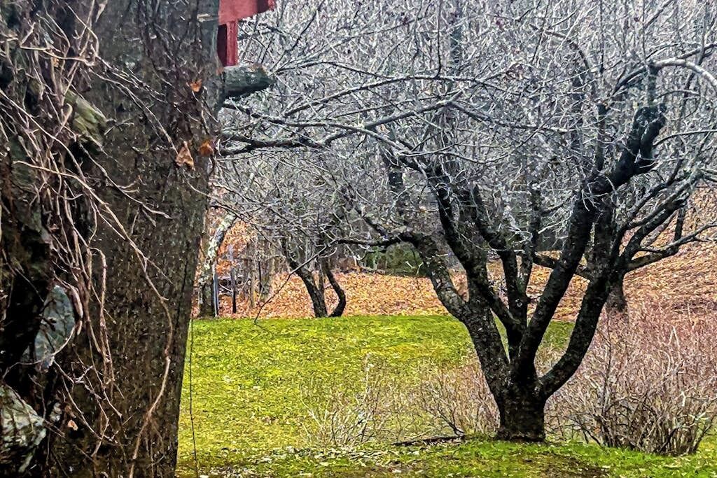 Photo of Outdoor in Pittsfield