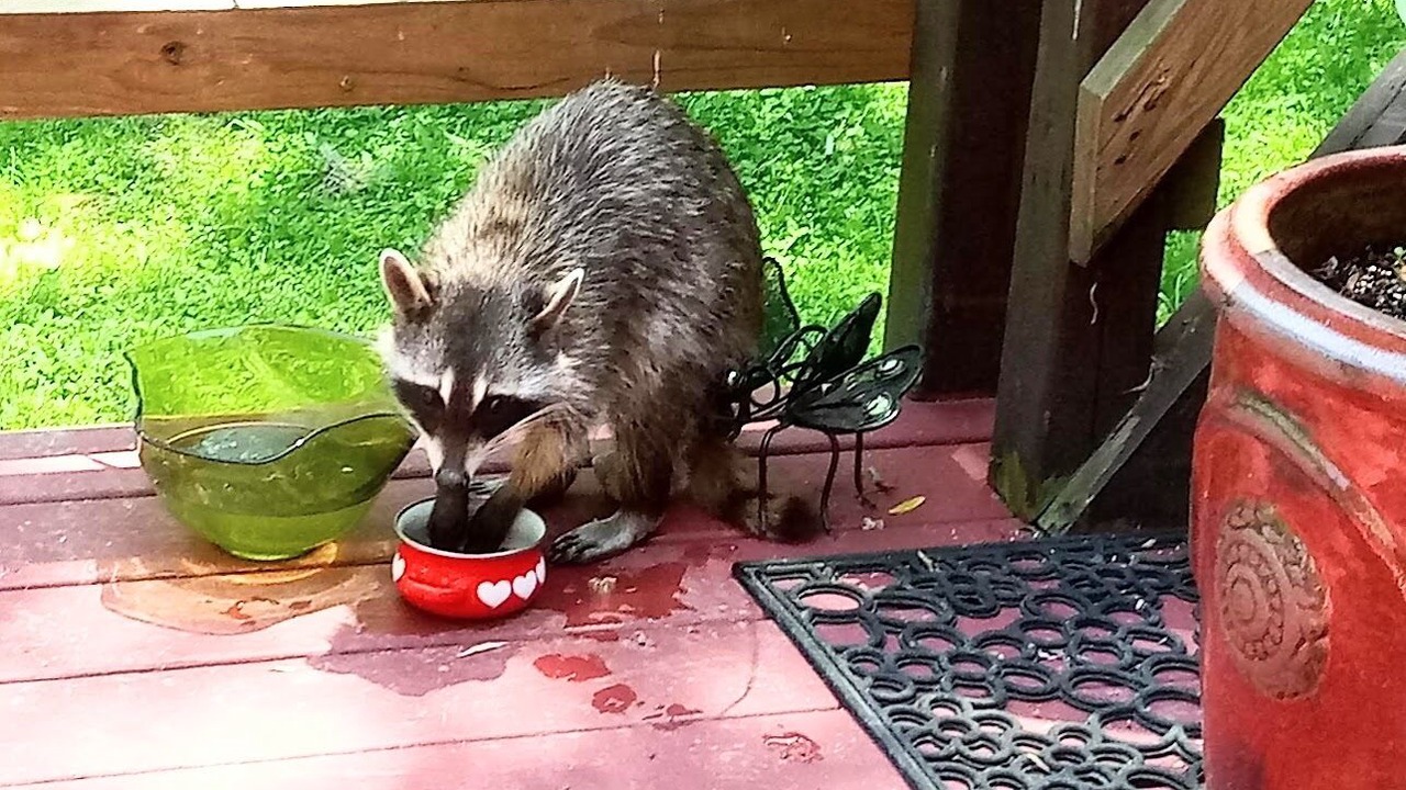 Photo of Others in New Paltz