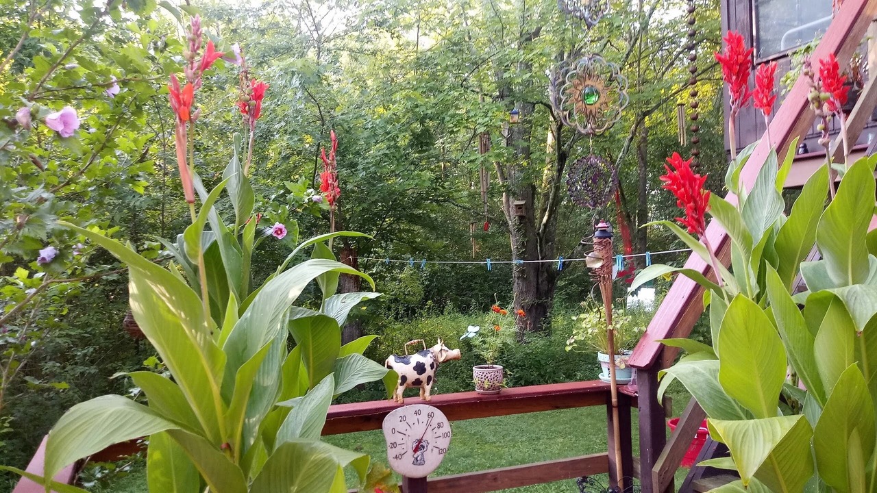 Photo of Outdoor in New Paltz