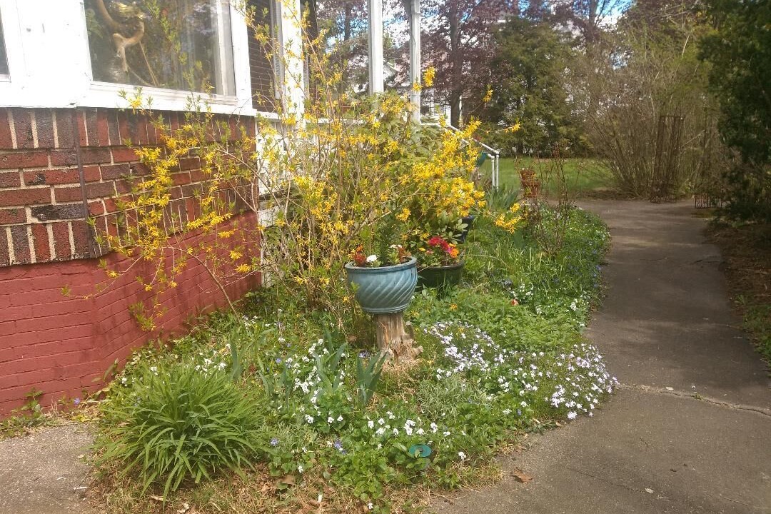 Photo of Outdoor in Biddeford