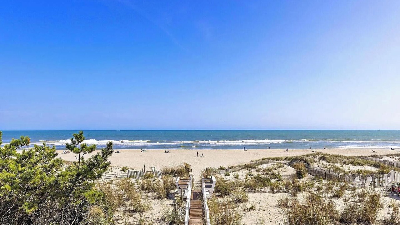 Photo of Others in Surf City