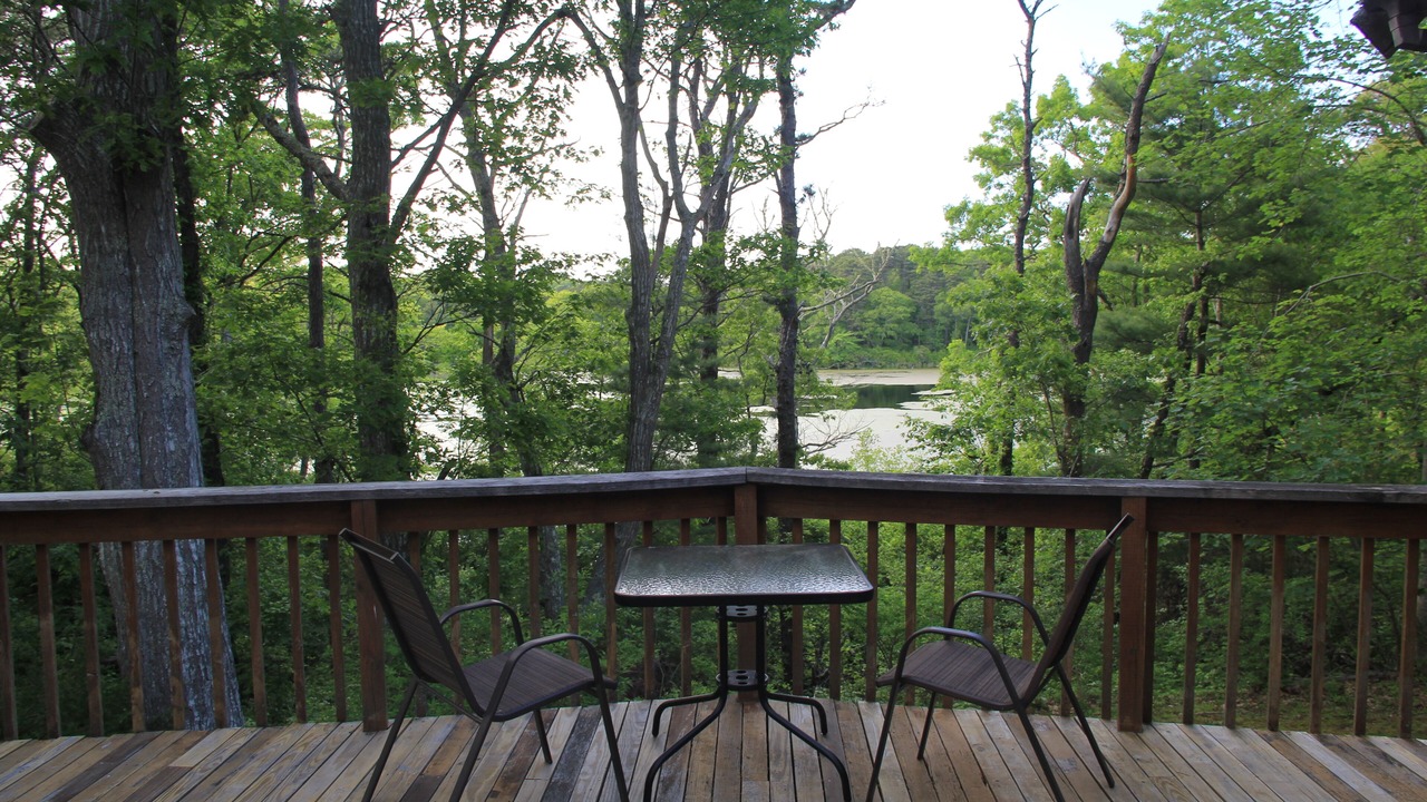 Photo of Outdoor in South Orleans