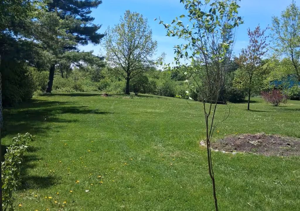 Photo of Outdoor in Addison