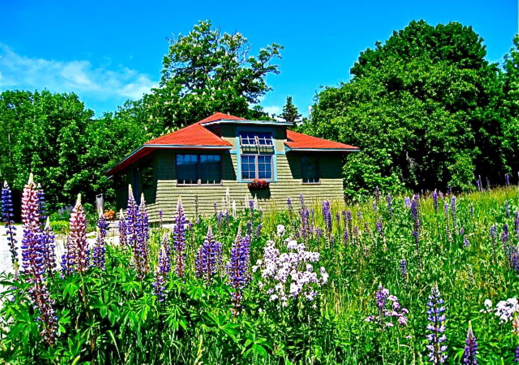 Photo of Outdoor in Bar Harbor