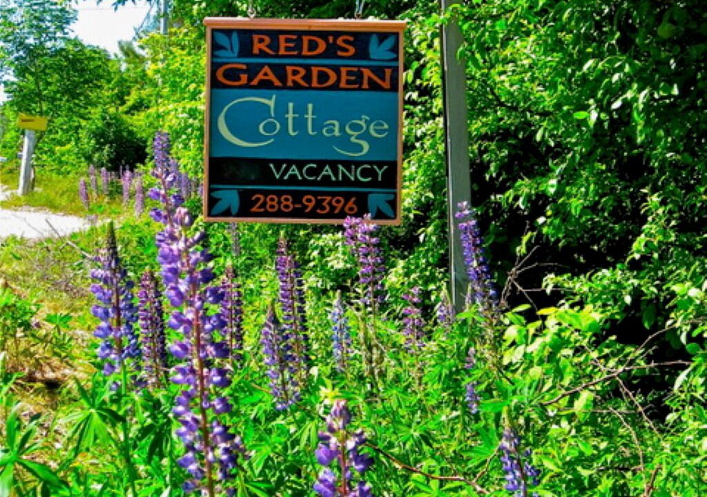 Photo of Outdoor in Bar Harbor