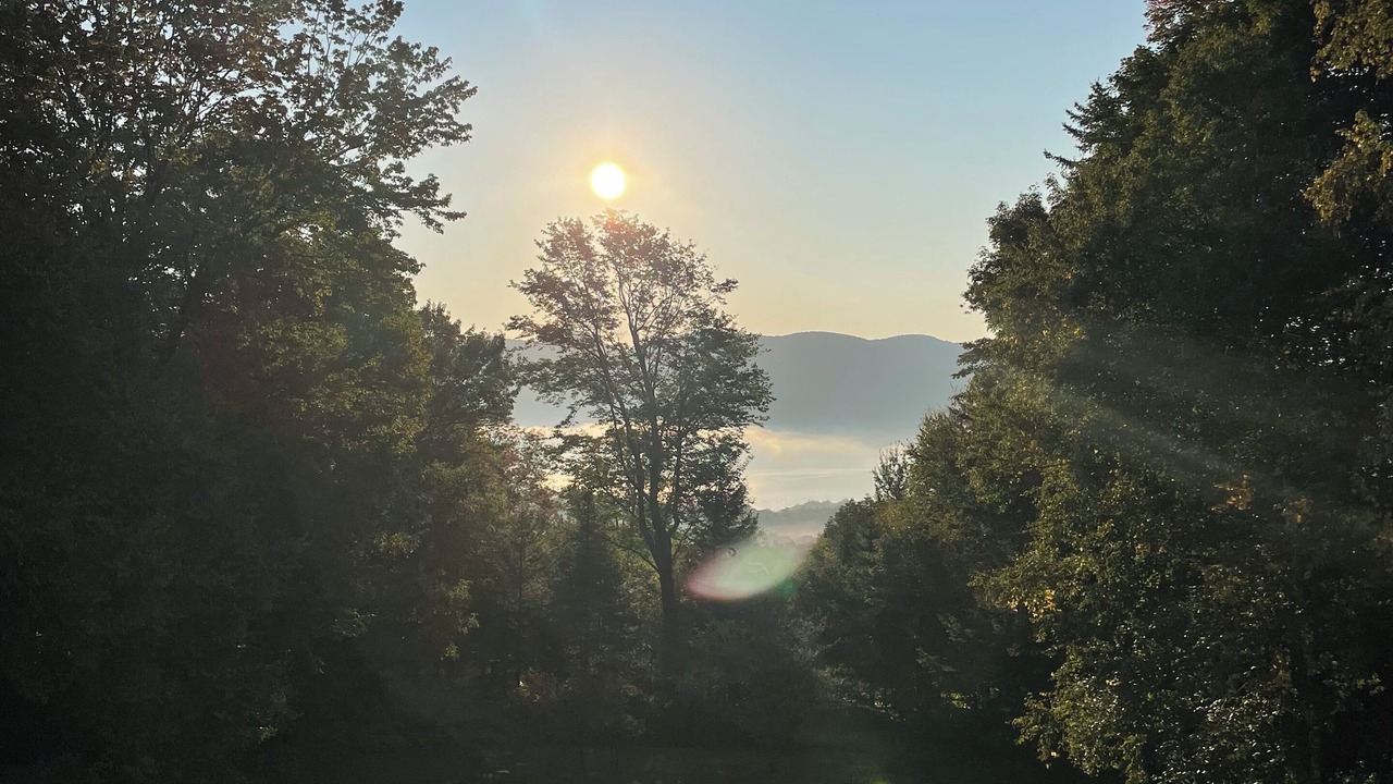Photo of Others in Chittenden