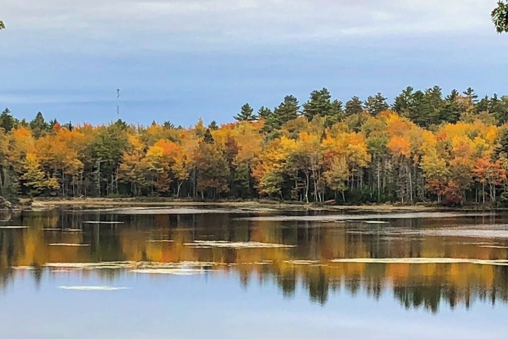 Photo of Others in Gouldsboro
