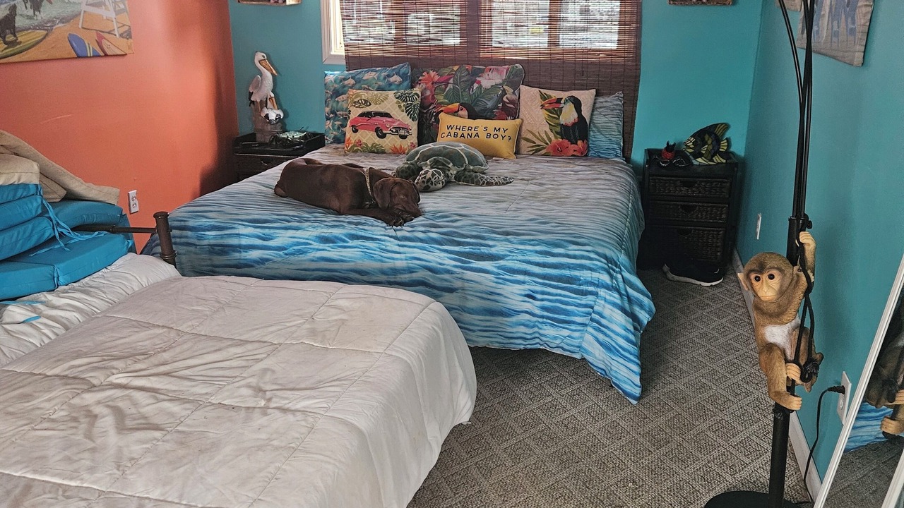 Photo of Bedroom in Mystic Island