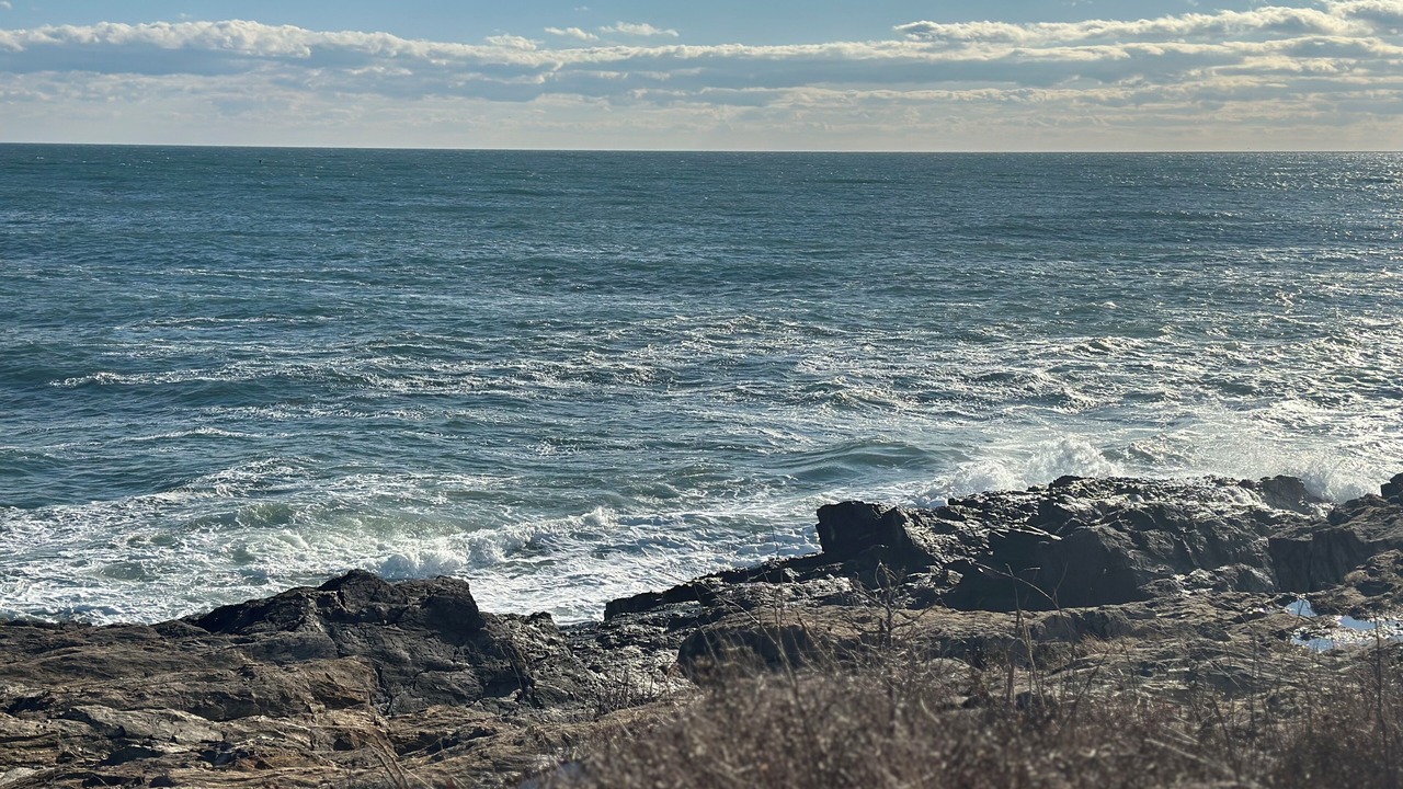 Photo of Others in Mid-Coast and Islands