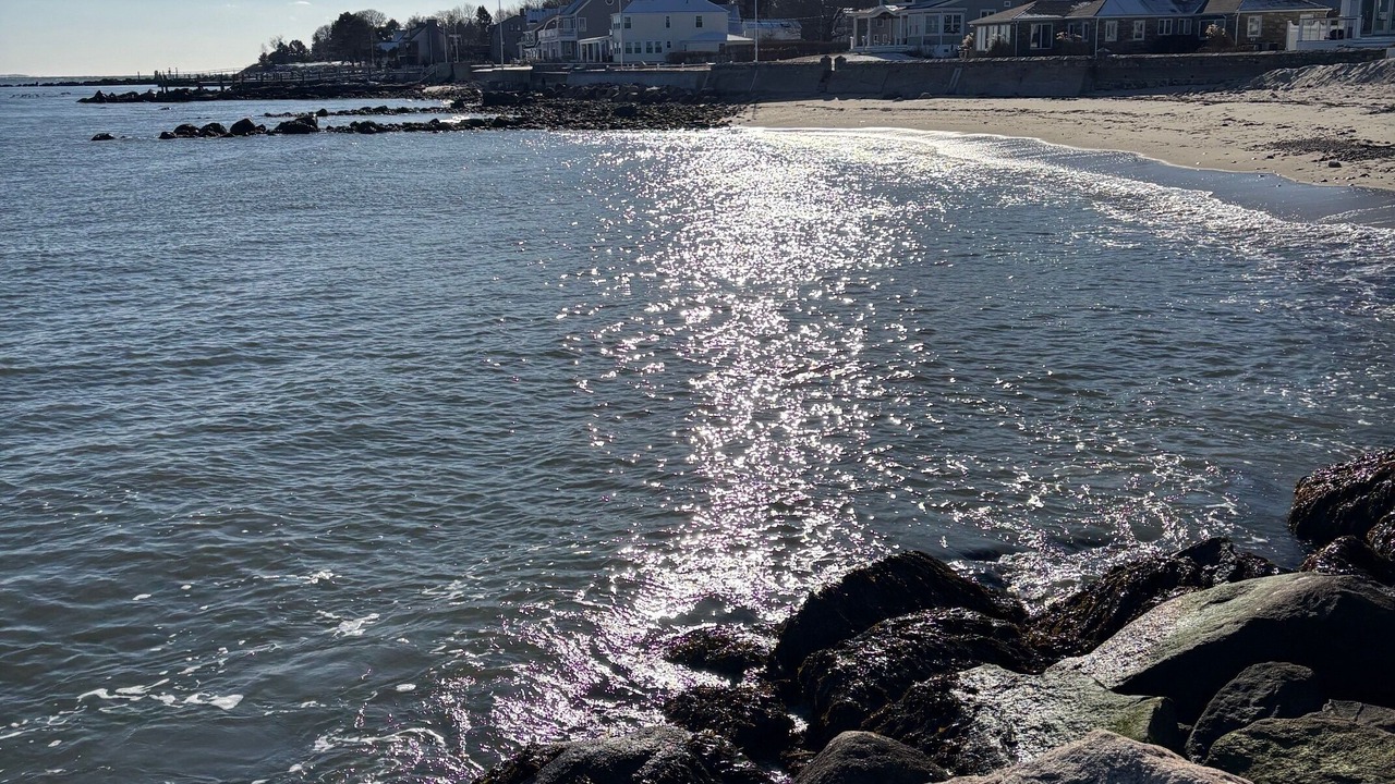Photo of Others in Niantic