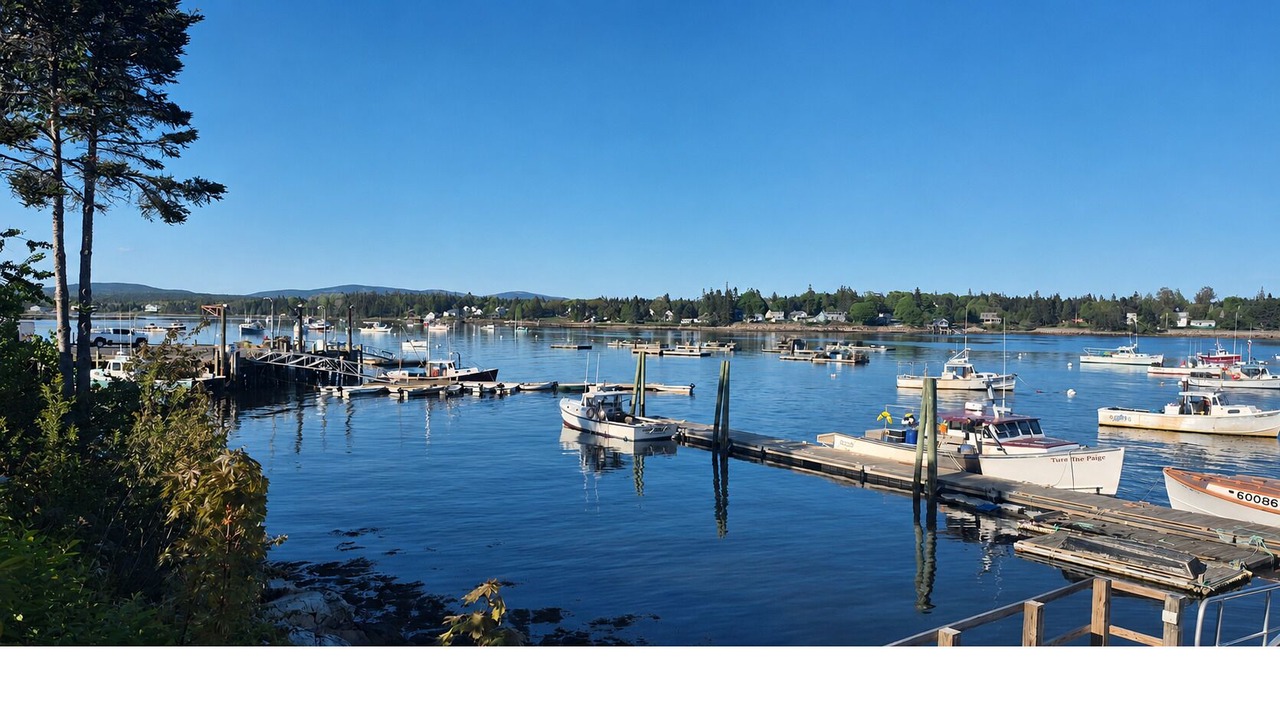 Photo of Others in Southwest Harbor