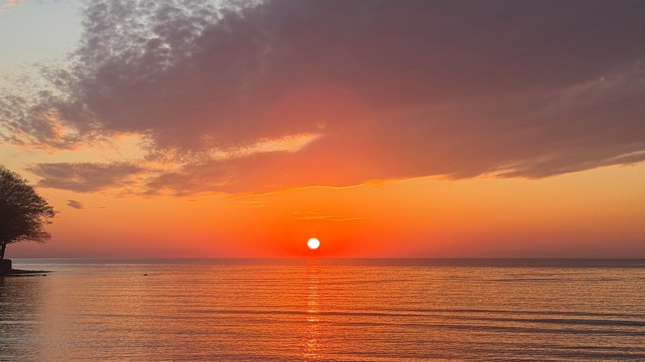 Photo of Others in Lake Erie Beach