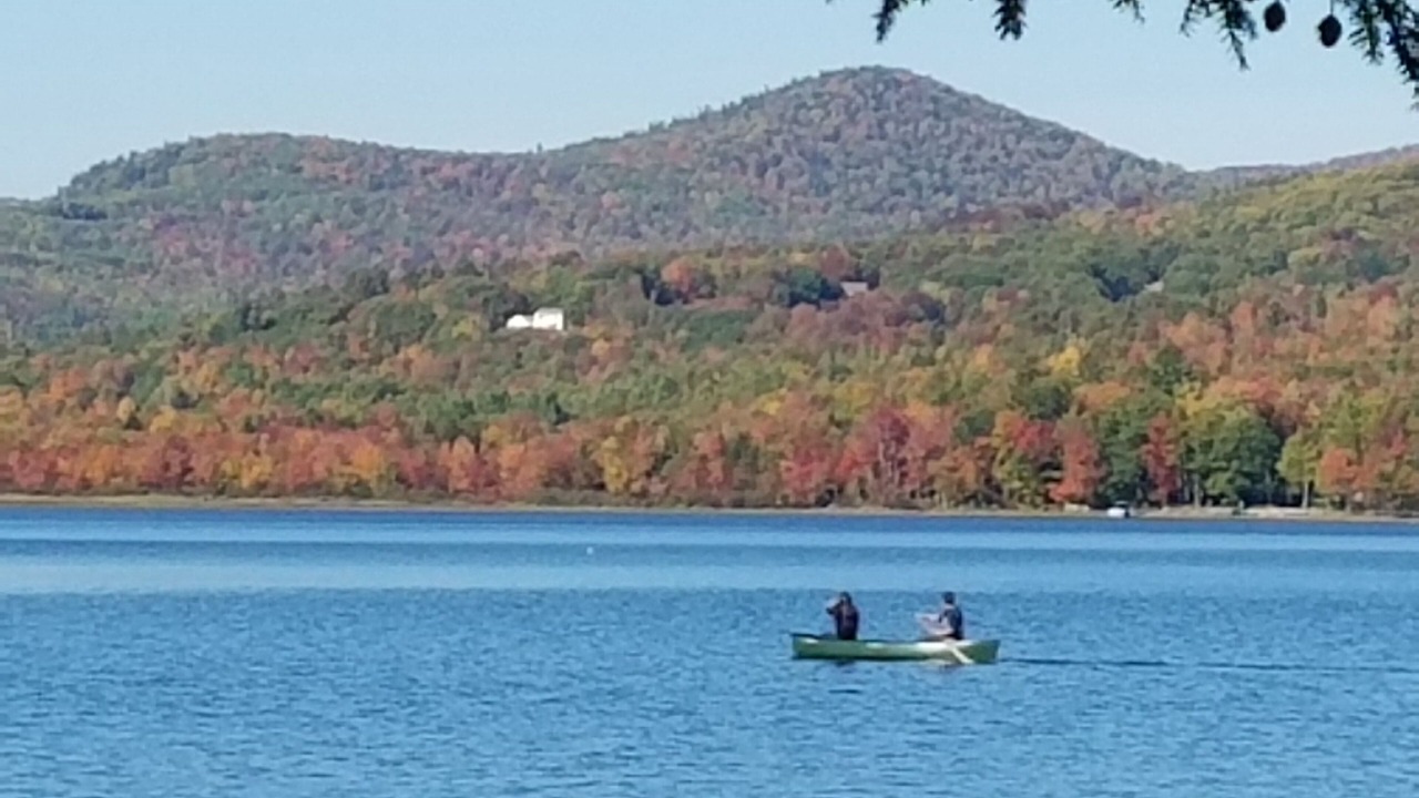 Photo of Others in Dryden