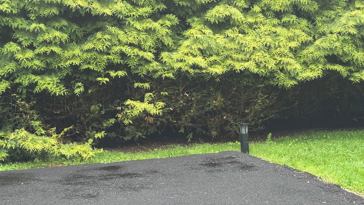 Photo of Outdoor in Bridgehampton