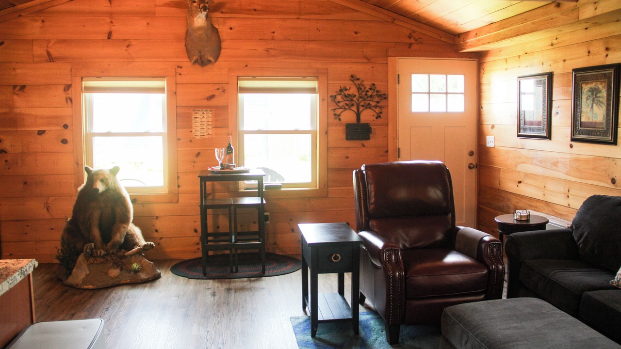 Photo of Livingroom in Malletts Bay