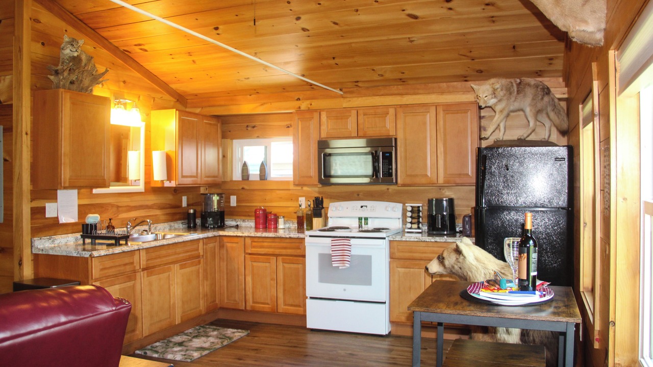 Photo of Kitchen in Malletts Bay