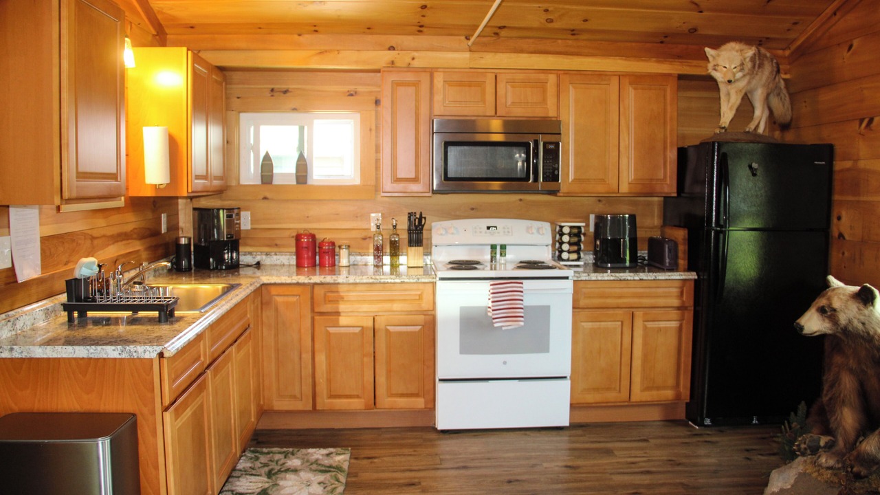 Photo of Kitchen in Malletts Bay