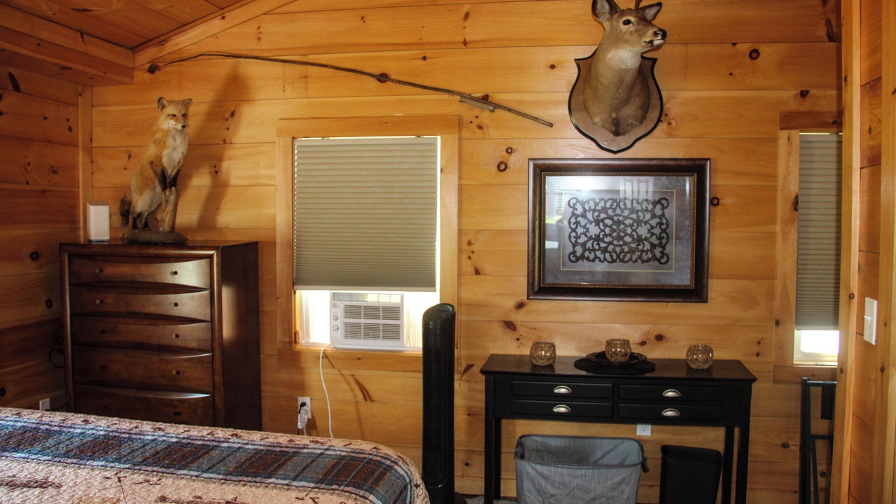 Photo of Bedroom in Malletts Bay