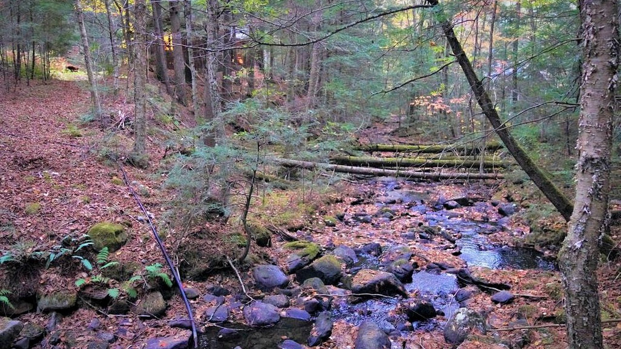 Photo of Others in Woodsville