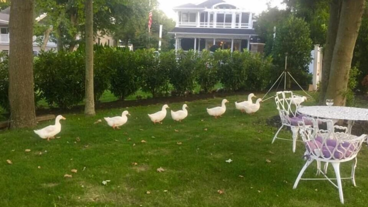Photo of Outdoor in Spring Lake