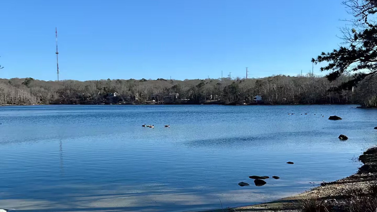 Photo of Others in West Barnstable