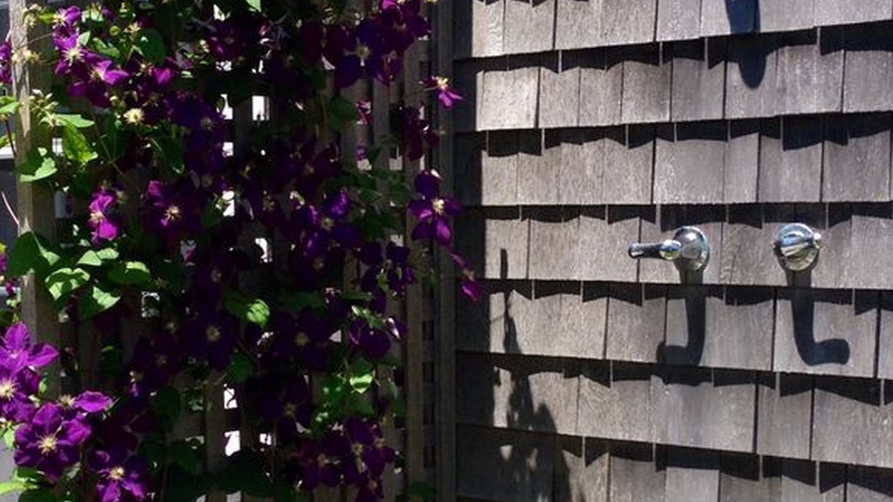 Photo of Outdoor in Bridgehampton