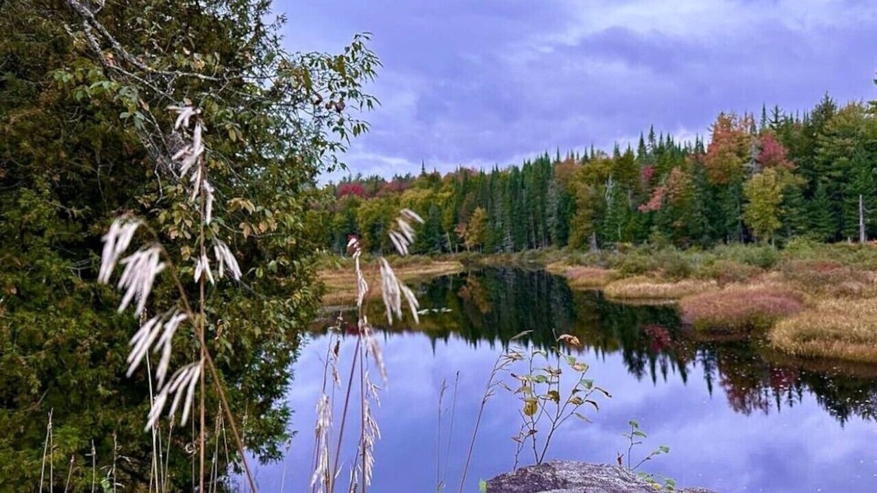Photo of Others in Long Lake