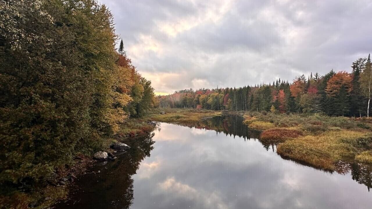 Photo of Others in Long Lake