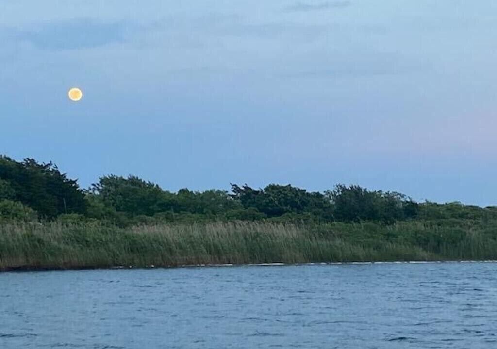 Photo of Others in Chilmark