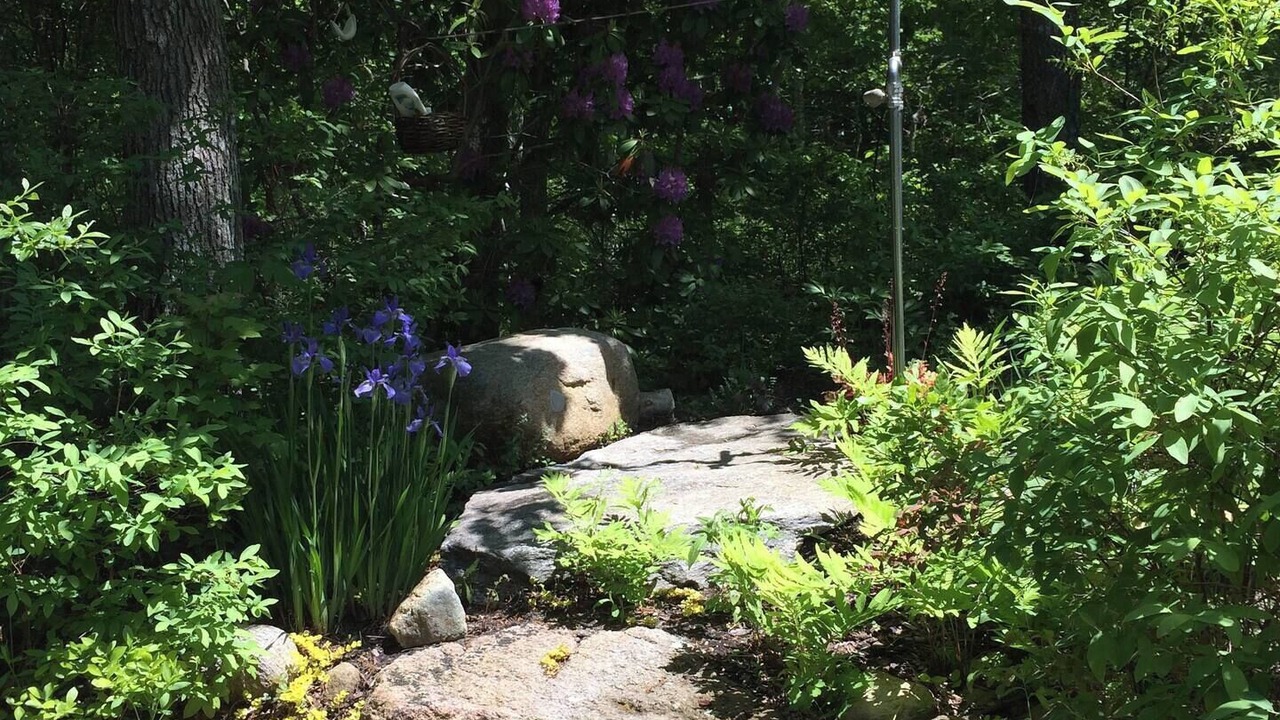 Photo of Outdoor in Vineyard Haven