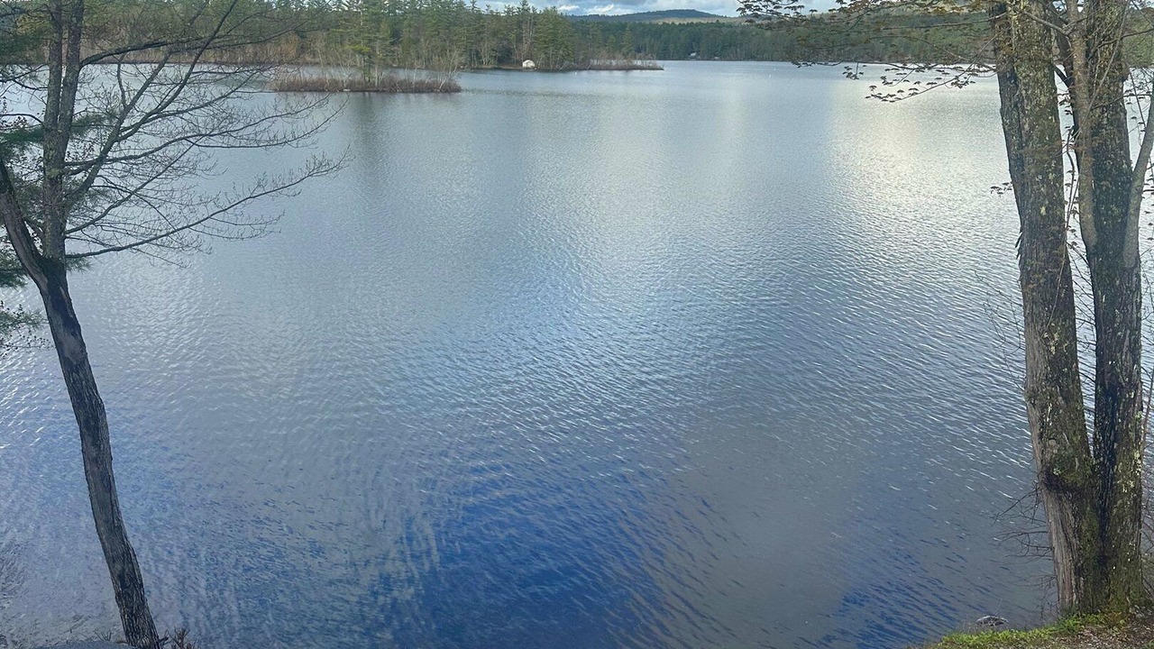 Photo of Outdoor in Center Lovell