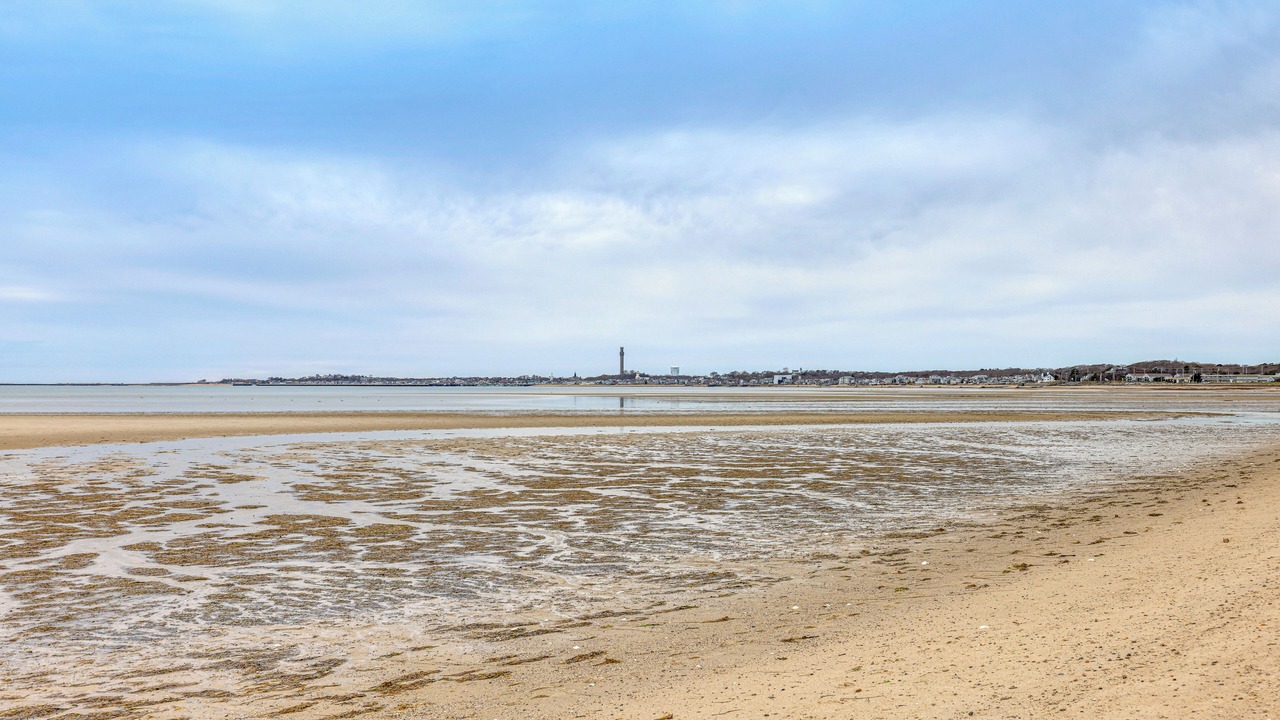 Photo of Others in Provincetown