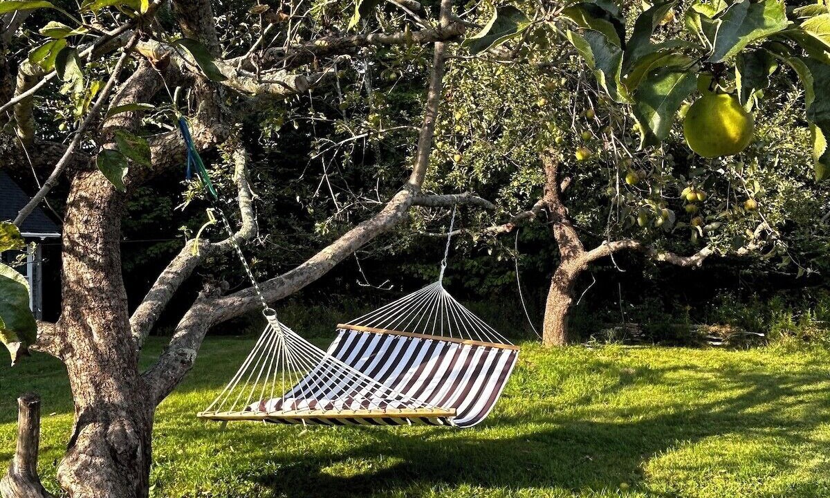 Photo of Outdoor in Brooksville