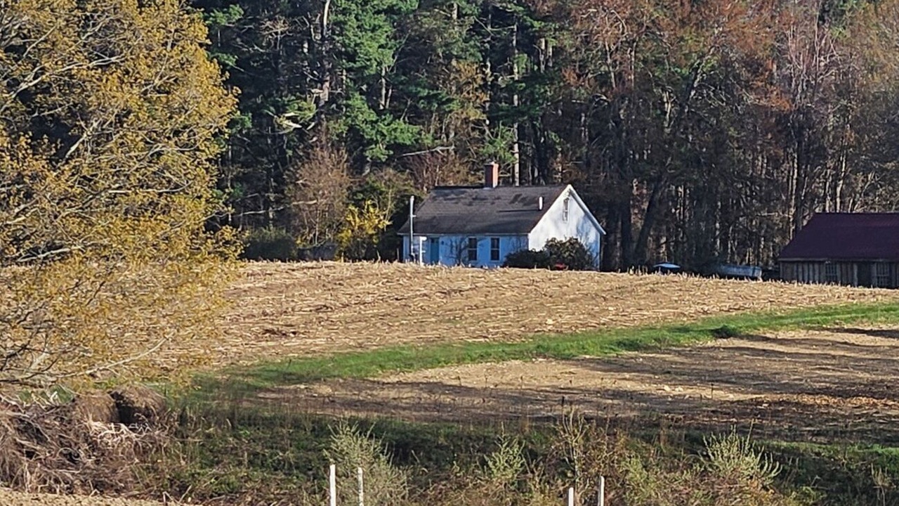 Photo of Others in Mason