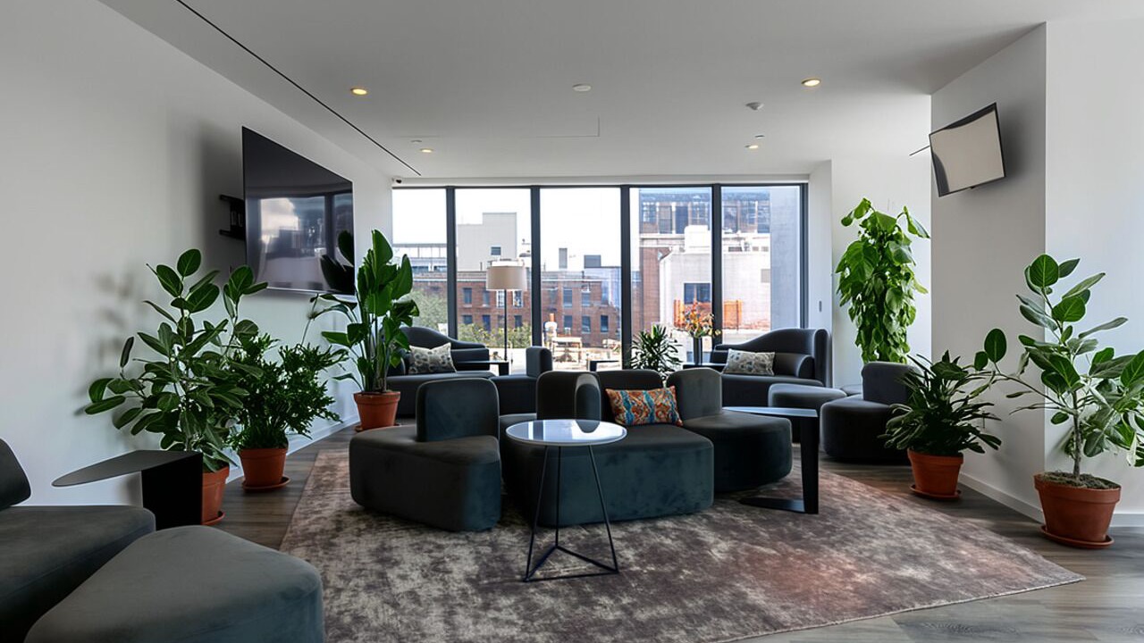 Photo of Livingroom in Clinton Hill