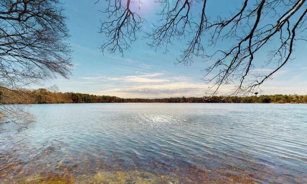 Photo of Others in Cotuit