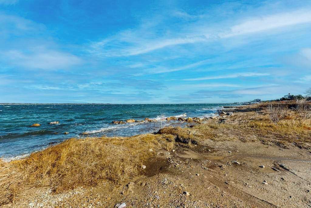 Photo of Others in Barnstable